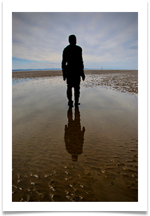 Standing tall - Martin Ellison